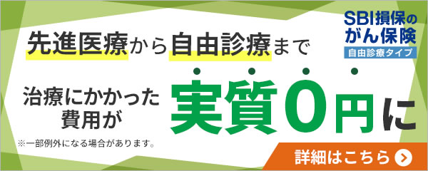 SBI損保がん保険自由診療タイプ